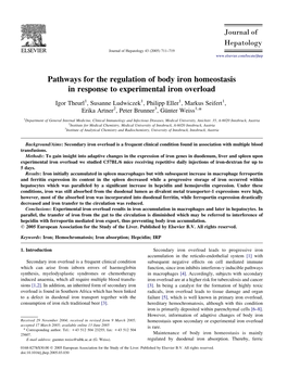 Pathways for the Regulation of Body Iron Homeostasis in Response to Experimental Iron Overload