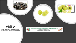 Indian Gooseberry Introduction