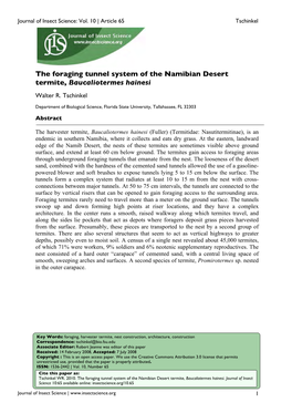 The Foraging Tunnel System of the Namibian Desert Termite, Baucaliotermes Hainesi