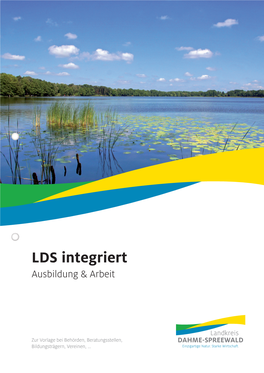 LDS Integriert Ausbildung & Arbeit