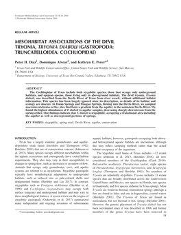 Mesohabitat Associations of the Devil Tryonia, Tryonia Diaboli (Gastropoda: Truncatelloidea: Cochliopidae)