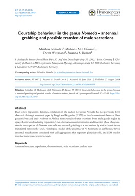 Courtship Behaviour in the Genus Nomada – Antennal Grabbing and Possible Transfer of Male Secretions