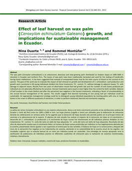 Ceroxylon Echinulatum Galeano) Growth, and Implications for Sustainable Management in Ecuador