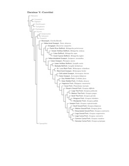 Dacninae Species Tree, Part 3