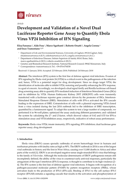 Development and Validation of a Novel Dual Luciferase Reporter Gene Assay to Quantify Ebola Virus VP24 Inhibition of IFN Signaling