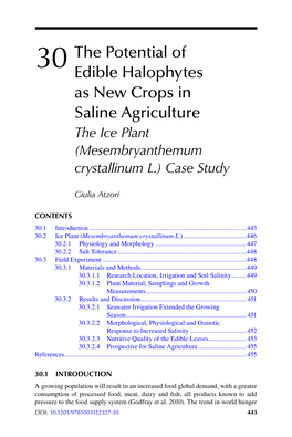 Future of Sustainable Agriculture in Saline Environments