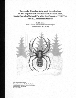 Terrestrial Riparian Arthropod Investigations in the Big Beaver