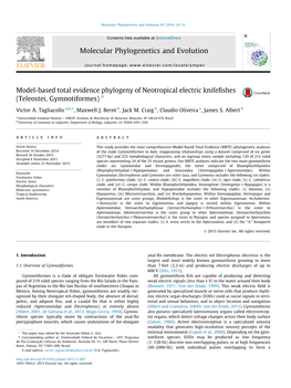 Model-Based Total Evidence Phylogeny of Neotropical Electric Knifefishes (Teleostei, Gymnotiformes)