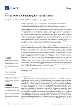 Role of PUM RNA-Binding Proteins in Cancer