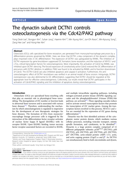 The Dynactin Subunit DCTN1 Controls Osteoclastogenesis Via the Cdc42