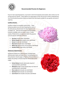 Recommended Peonies for Beginners