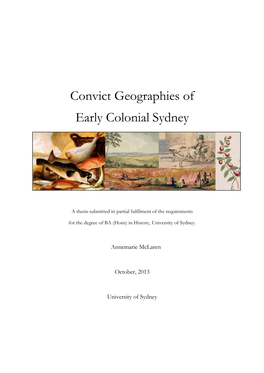 Convict Geographies of Early Colonial Sydney