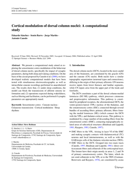 Cortical Modulation of Dorsal Column Nuclei: a Computational Study