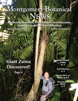 Giant Zamia Discovered!