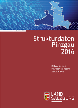 Strukturdaten Pinzgau 2016