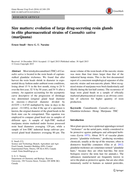 Size Matters: Evolution of Large Drug-Secreting Resin Glands in Elite Pharmaceutical Strains of Cannabis Sativa (Marijuana)