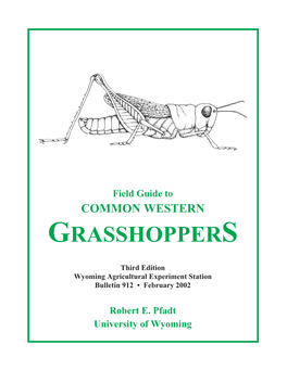 Field Guide to COMMON WESTERN GRASSHOPPERS