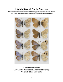 Review of Plebejus Icarioides and Glaucopsyche Lygdamus in New Mexico with Four New Subspecies (Lycaenidae, Lycaeninae, Polyommatini)