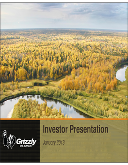Investor Presentation January 2013
