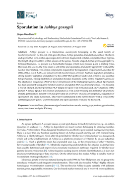 Sporulation in Ashbya Gossypii