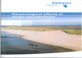 Morphological Effects of Mega-Nourishments 1