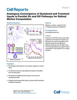 Analogous Convergence of Sustained and Transient Inputs in Parallel on and Off Pathways for Retinal Motion Computation