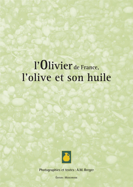 L'olive Et Son Huile