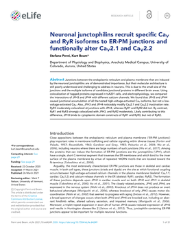 Neuronal Junctophilins Recruit Specific Cav and Ryr Isoforms to ER-PM Junctions and Functionally Alter Cav2.1 and Cav2.2 Stefano Perni, Kurt Beam*