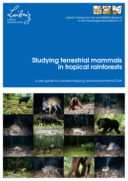 Studying Terrestrial Mammals in Tropical Rainforests