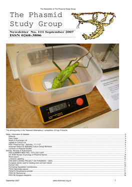 The Phasmid Study Group the Phasmid Study Group