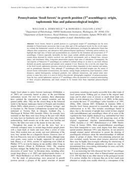 'Fossil Forests' in Growth Position (T° Assemblages): Origin, Taphonomic Bias and Palaeoecological Insights