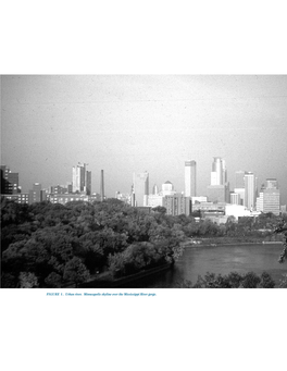 FIGURE 1. Urban River. Minneapolis Skyline Over the Mississippi River Gorge