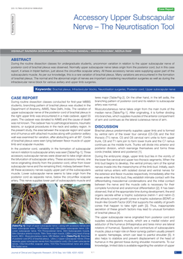 Accessory Upper Subscapular Nerve – the Neurotisation Tool Anatomy Section