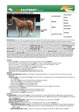 Bay Filly (IRE) – February 4Th, 2008