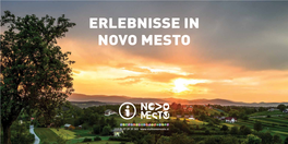 Broschuere Novo Mesto.Pdf