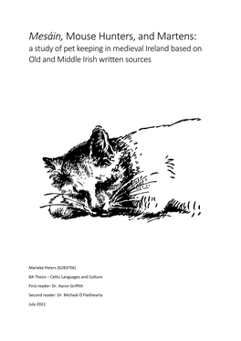 Mesáin, Mouse Hunters, and Martens: a Study of Pet Keeping in Medieval Ireland Based on Old and Middle Irish Written Sources