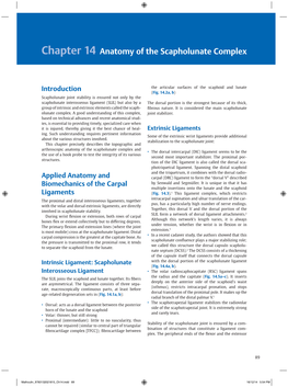 Anatomy of Scapholunate Complex.Pdf