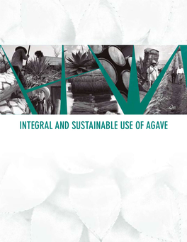 Integral and Sustainable Use of Agave