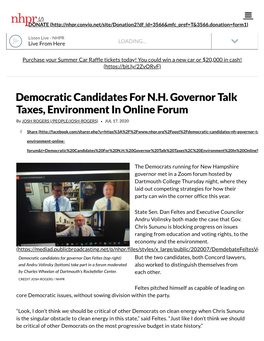 Democratic Candidates for N.H. Governor Talk Taxes, Environment in Online Forum