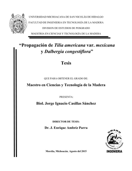 Propagación De Tilia Americana Var. Mexicana Y Dalbergia Congestiflora”