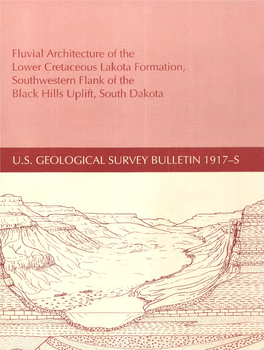 Fluvial Architecture of the Lower Cretaceous Lakota Formation, Southwestern Flank of the Black Hills Uplift, South Dakota