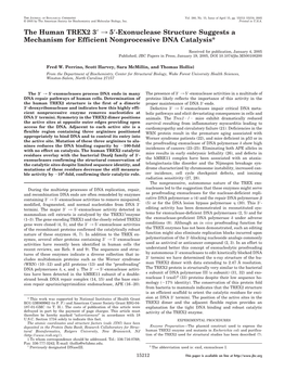 The Human TREX2 3 3 5 -Exonuclease Structure Suggests a Mechanism for Efficient Nonprocessive DNA Catalysis