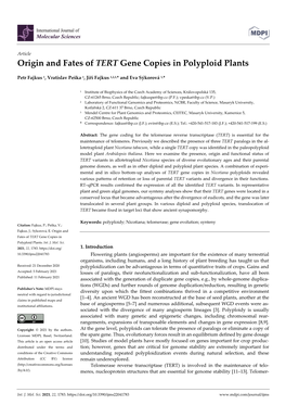 Origin and Fates of TERT Gene Copies in Polyploid Plants