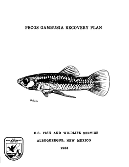 Pecos Gambusia Recovery Plan