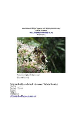 Comprehensive Survey of West Penwith Area for Rare Bees