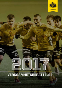 Verksamhetsberättelse 2017