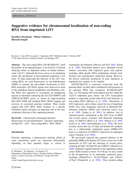 Suggestive Evidence for Chromosomal Localization of Non-Coding RNA from Imprinted LIT1