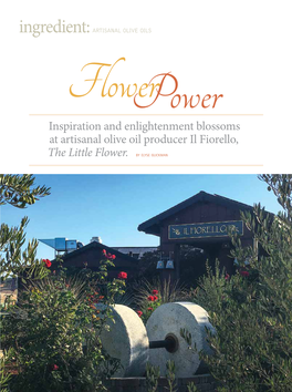 Inspiration and Enlightenment Blossoms at Artisanal Olive Oil Producer Il Fiorello, the Little Flower
