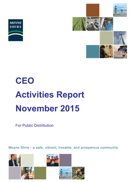 CEO Activities Report November 2015