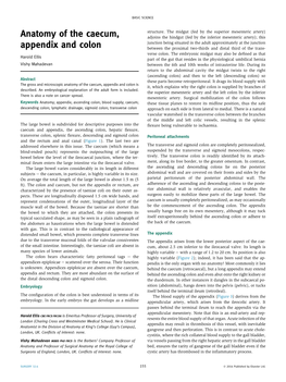 Anatomy of the Caecum, Appendix and Colon Is It, Which Explains Why the Right Colon Is Supplied by Branches of Described